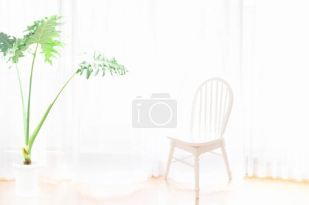 Foto de Habitación blanca con plantas verdes - Imagen libre de derechos