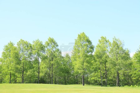 Foto de Campo de golf con hierba verde y cielo azul. día de verano - Imagen libre de derechos