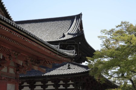 Téléchargez les photos : Plan pittoresque du magnifique sanctuaire japonais antique - en image libre de droit