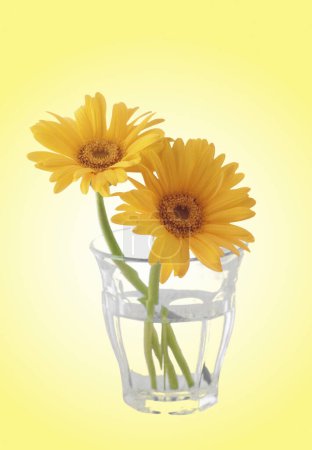 Téléchargez les photos : Beau bouquet de fleurs jaunes en pot en verre - en image libre de droit
