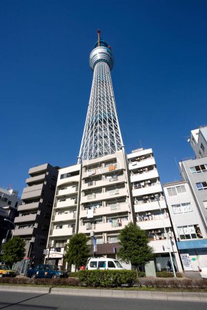 Foto de El árbol del cielo de Tokio en construcción - Imagen libre de derechos