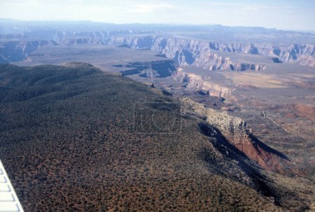 Téléchargez les photos : Vue du parc national du Grand Canyon en Arizona - en image libre de droit