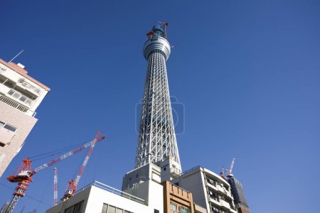 El árbol del cielo de Tokio en construcción