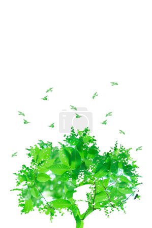 Foto de Composición de hojas verdes en forma de árbol, fondo de primavera - Imagen libre de derechos