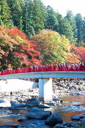 Téléchargez les photos : Vallée de Koarashi en automne - en image libre de droit