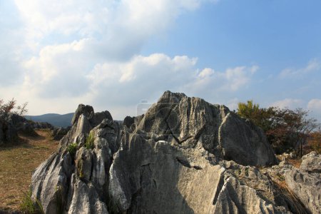 belle vue sur les rochers dans le parc national d'Akiyoshidai