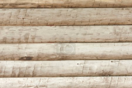 Foto de Textura de madera con patrón natural, primer plano - Imagen libre de derechos