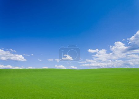 Téléchargez les photos : Field and green sky - en image libre de droit
