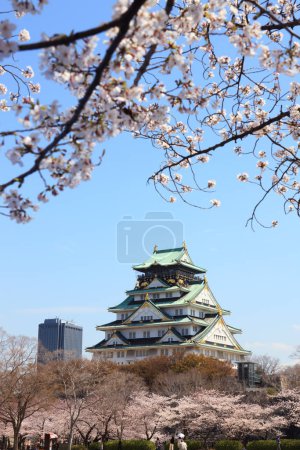 Téléchargez les photos : Beau château d'Osaka avec fleur de cerisier. Printemps japonais belle scène, Osaka, Japon - en image libre de droit