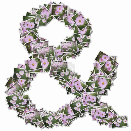 Foto de Símbolo y hecho de naipes con flores rosas - Imagen libre de derechos