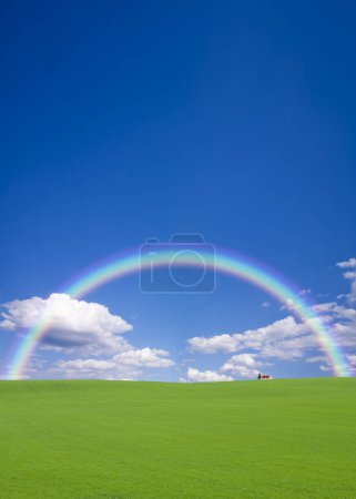 Téléchargez les photos : Arc-en-ciel dans un champ d'herbe verte - en image libre de droit