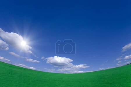 Foto de Campo de hierba verde y cielo azul - Imagen libre de derechos