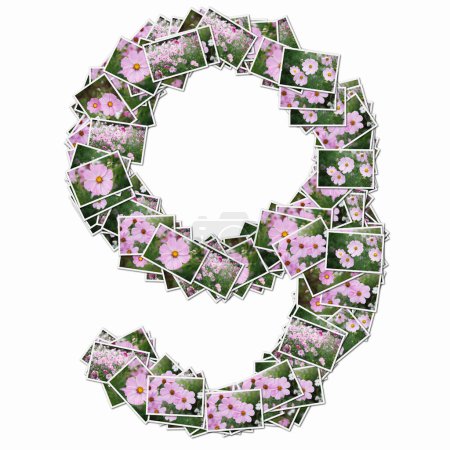 Téléchargez les photos : Symbole 9 fait de cartes à jouer avec des fleurs roses - en image libre de droit