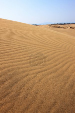 Téléchargez les photos : Vue de jour du désert sous le ciel bleu - en image libre de droit