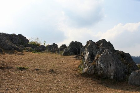 beautiful view of rocks in Akiyoshidai National Park