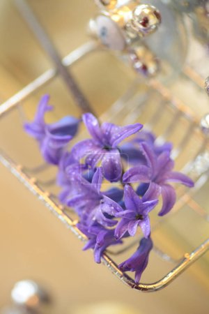 Téléchargez les photos : Belles fleurs violettes avec bouteille de savon dans la salle de bain - en image libre de droit
