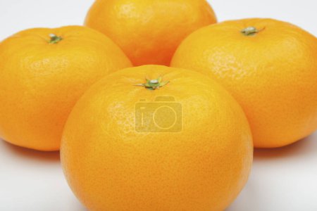 Photo for Ripe orange fruits, isolated on white background. - Royalty Free Image