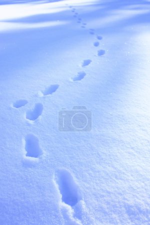 vue rapprochée des empreintes de pas dans la neige lors de la journée ensoleillée d'hiver