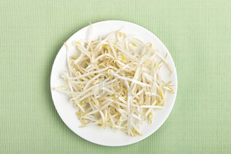 Photo for Sprouts, soybean sprouts on  background - Royalty Free Image