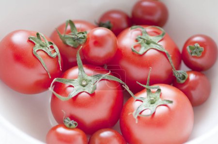 Téléchargez les photos : Tomates rouges fraîches sur fond, gros plan - en image libre de droit