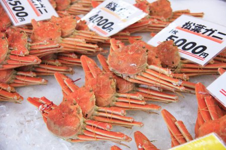 Téléchargez les photos : Un affichage de crabes sur la glace avec des étiquettes de prix - en image libre de droit