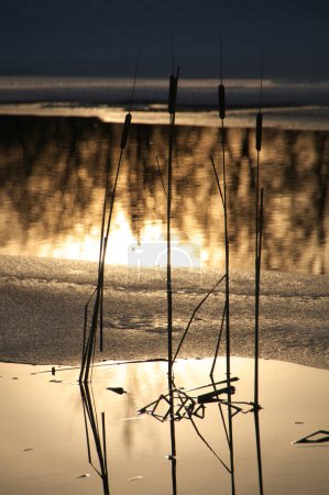 Foto de Hermoso atardecer sobre el lago - Imagen libre de derechos