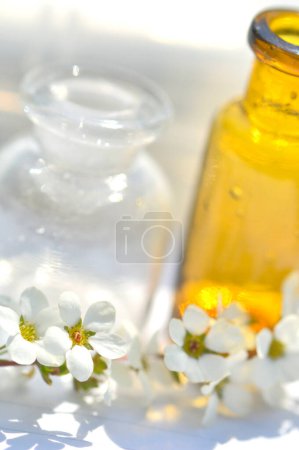 Téléchargez les photos : Vue rapprochée de petites bouteilles en verre et de belles fleurs blanches de printemps sur fond clair - en image libre de droit