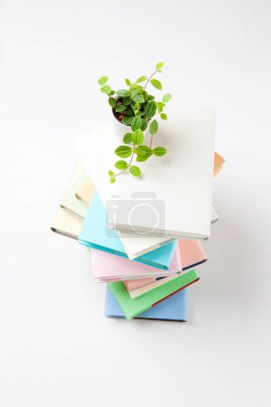 Foto de Pila de libros coloridos y planta verde en maceta sobre fondo blanco - Imagen libre de derechos