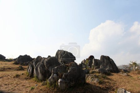 beautiful view of rocks in Akiyoshidai National Park