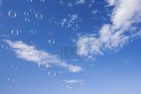 Photo for Closeup of soap bubbles in the sky - Royalty Free Image