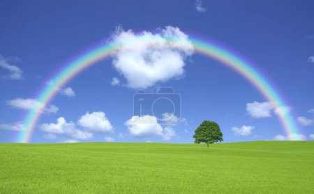 Photo for Green field with lone tree and rainbow - Royalty Free Image