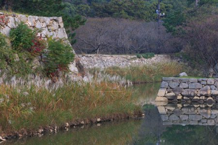 Foto de Imagen de antiguas ruinas del castillo Hagi en Japón - Imagen libre de derechos