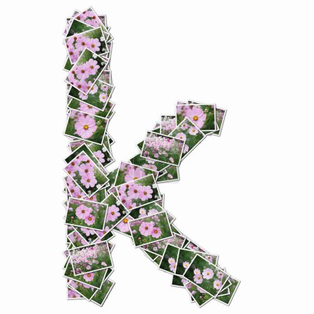 Téléchargez les photos : Symbole K composé de cartes à jouer avec des fleurs roses - en image libre de droit