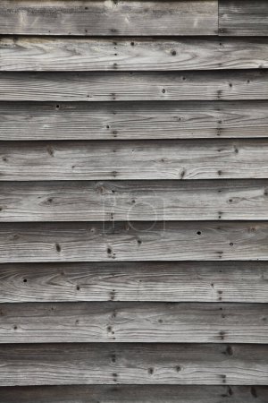 Photo for Old gray wooden  background, close up - Royalty Free Image