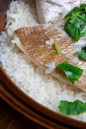 Photo for Taimeshi, rice with sea bream  on background - Royalty Free Image