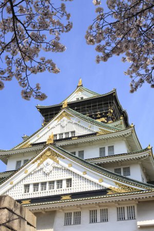 Foto de Castillo de Osaka con flor de cerezo. Escena hermosa de primavera japonesa, Osaka, Japón - Imagen libre de derechos