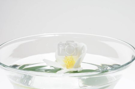 Photo for Glass of water with white flower on white background - Royalty Free Image