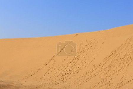 Téléchargez les photos : Vue de jour du désert sous le ciel bleu - en image libre de droit