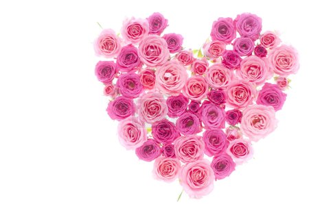 Foto de Hermosa flor rosa rosa con marco en forma de corazón - Imagen libre de derechos