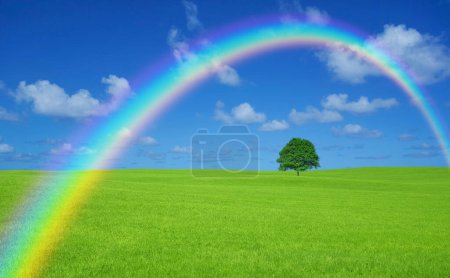 Photo for Green field with lone tree and rainbow - Royalty Free Image