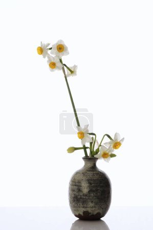 Téléchargez les photos : Vase avec des fleurs sur la table, fond blanc - en image libre de droit
