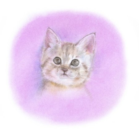 Foto de Acuarela dibujada a mano ilustración de gato lindo sobre fondo blanco - Imagen libre de derechos