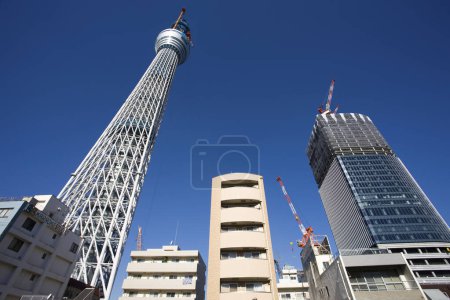 Téléchargez les photos : Le Tokyo Sky Tree en construction - en image libre de droit