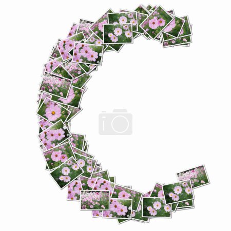 Téléchargez les photos : Symbole C fait de cartes à jouer avec des fleurs roses - en image libre de droit