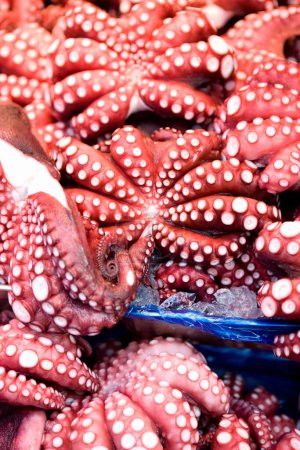 Photo for Fresh raw octopus at seafood market - Royalty Free Image