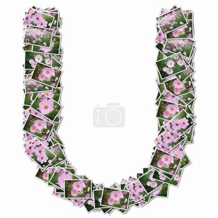 Photo for Symbol U made of playing cards with pink flowers - Royalty Free Image