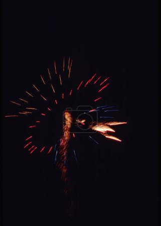 Foto de Fuegos artificiales maravillosos y coloridos en el cielo nocturno - Imagen libre de derechos