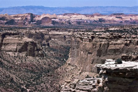 Vue du parc national du Grand Canyon en Arizona