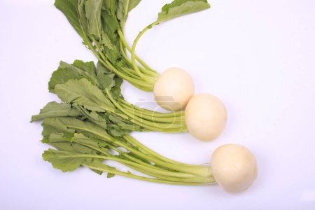 Photo for A bunch of radishes on a white surface - Royalty Free Image