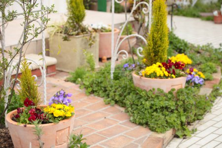 Téléchargez les photos : Belle cour avant avec différentes plantes. Jardinage et aménagement paysager - en image libre de droit